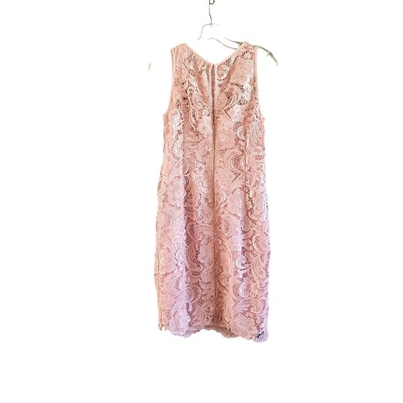 Adrianna Papell Pink Lace Sheath Dress - Picture 3 of 4